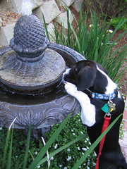Chloe and the fountain