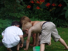 Boys catching frogs