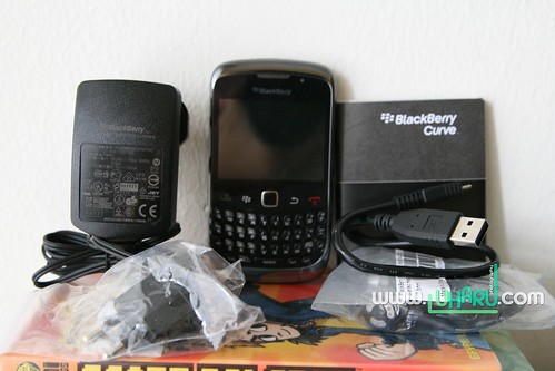 BlackBerry Curve 9300 013