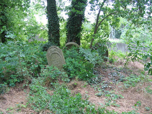 Abandoned Jewish cemetery in Jirice u Miroslavice