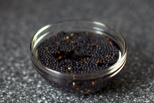 black lentils, soaking
