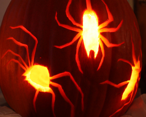 The spider pumpkin