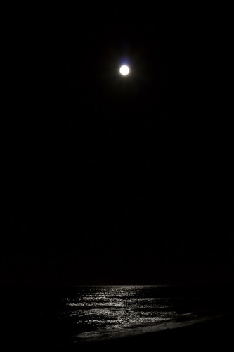 Moonlight On The Bay