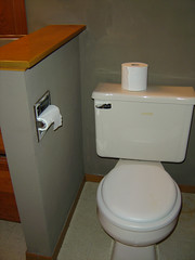 Downstairs bathroom toilet