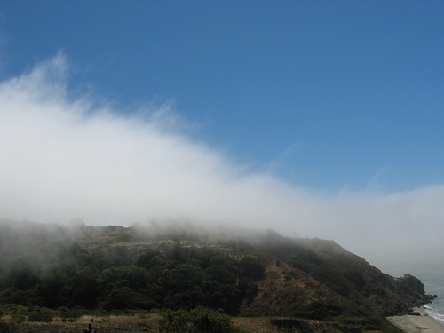 Foggy hilltop