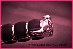 5098659983 fd771ec0b8 m 7 Things You Probably Didn?t Know About Breasts: Quick Facts About Breast Cancer