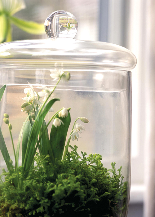 lily of the valley terrarium via country home