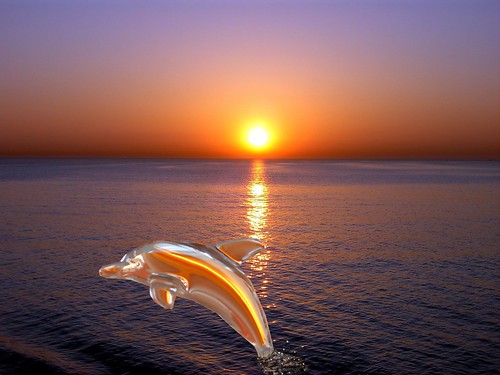 delfín cristal