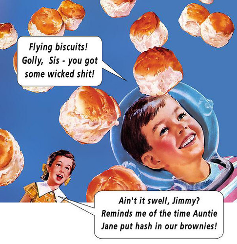 flying biscuits