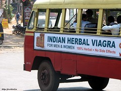 Indian Herbal Viagra