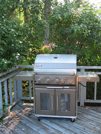 our new grill from costco
