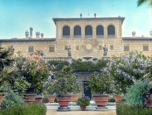 Palmieri, Firenze – terrace from garden – citrus & oleander