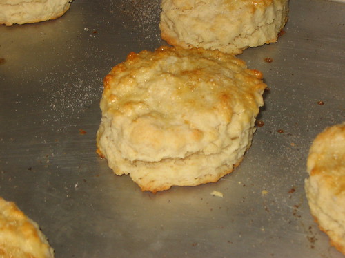Biscuit for Strawberry Shortcake