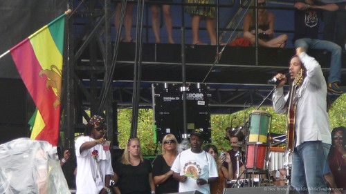 08.04 Stephen Marley @ Lollapalooza (4)