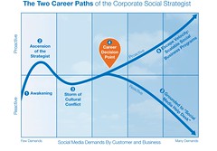 The Two Career Paths of the Corporate Social Strategist