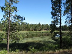 Pine Lake Loop Trail