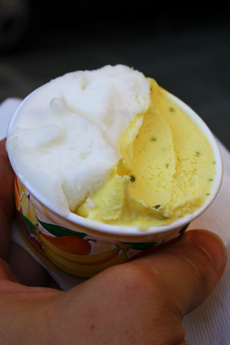 lemony thing and gelatissimo's special flavor that we couldn't really identify