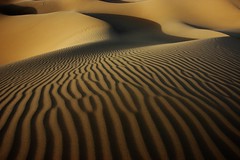 arena y viento / sand and wind - by El Pei