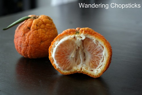 Grapefruit-sized Shasta Gold Tangerines 3