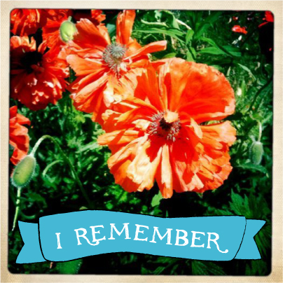 Remebrance Day: Poppies