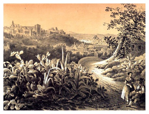021-Vista de la Alhambra desde los nopales del Monte Sacro-Recuerdos y bellezas de España-Reino de Granada