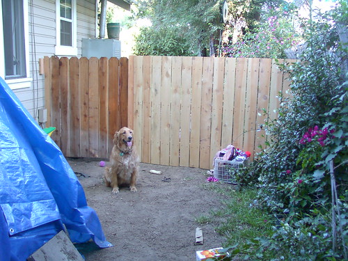 Dog Run fence