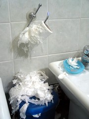 Cat + toilet paper = ...