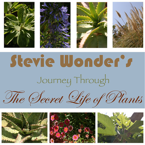 stevie wonder journey through the secret life of plants