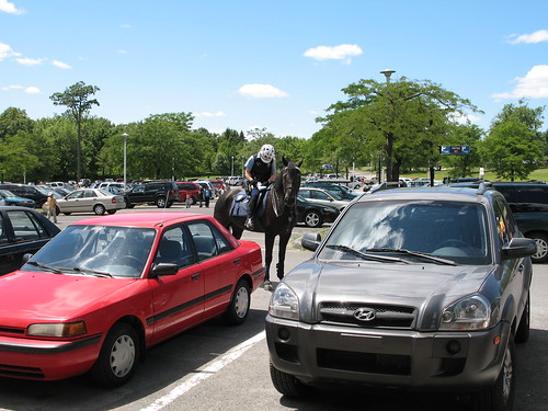 Mounted police giving parking ticket