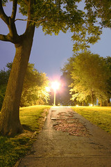 "History Revealed" (Lincoln Park at night)