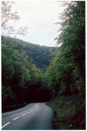 Road to national park
