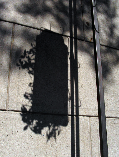 shadow of hanging flower basket