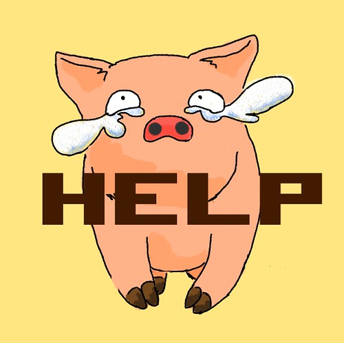 help pig