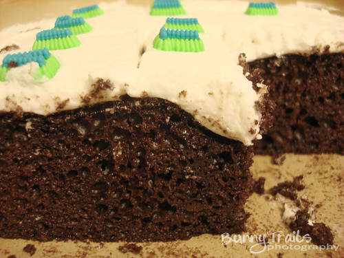 311-chocolate cake