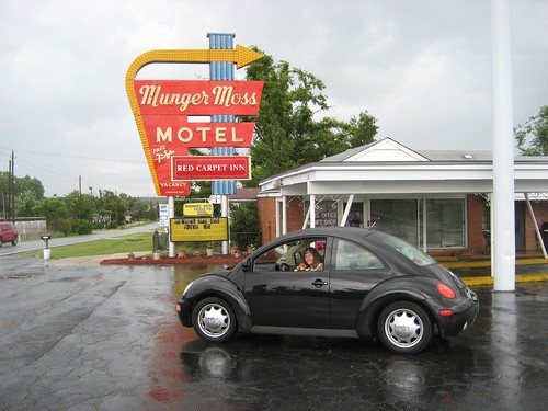 Phoebe at the Munger Moss Motel