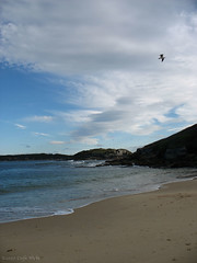 Photo of Bare Island from Congwong beach