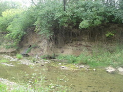 Very low creek