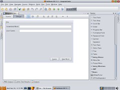 Netbeans_with_SystemLAF