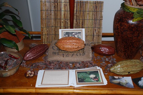 Cacao pods and beans