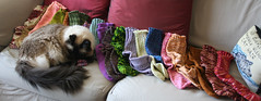 Summer of Socks with Lucy 092307