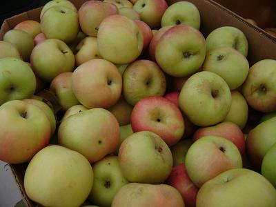 apples at the public market