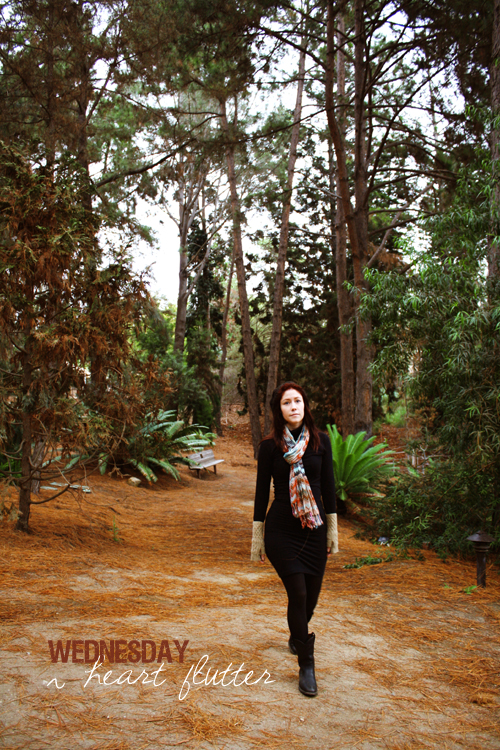 *a walk through a pine tree forest*