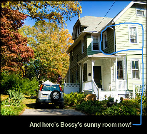 bossys-sunny-room