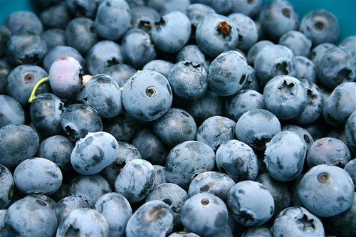 Blueberries really are blue