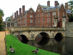 Cambridge (91)