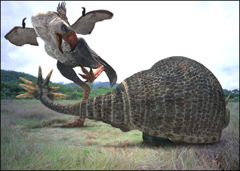 doedicurus fighting with phorusrhacos