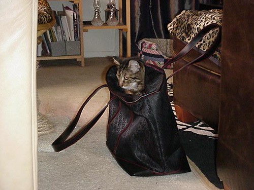Knitting bag cat