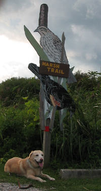 Marsh Trail Sign