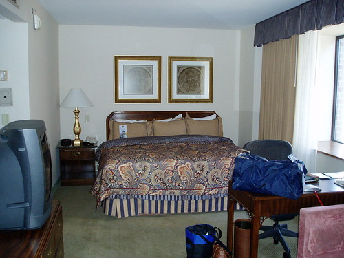 St Louis hotel1