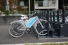 Kyoto Community Cycle